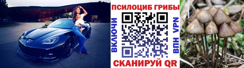 Галлюциногенные грибы Psilocybe  Курлово 